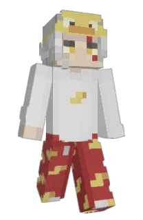 Front of Steelyzoo's skin