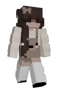 Front of Contribute's skin