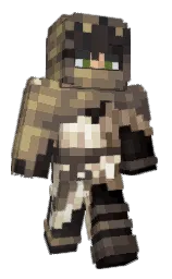 Minecraft skin — Classic model