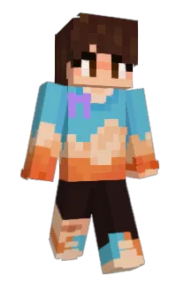 Front of _Laukku_'s skin