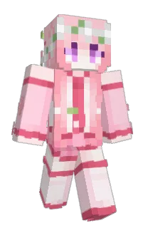 Front of Minecraft skin