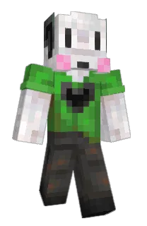 Front of Benj1kus's skin
