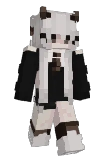 ccel_ Minecraft avatar full body