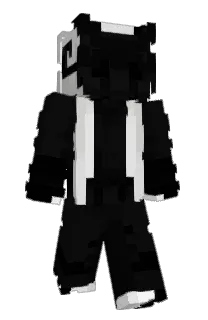 Front of evigilare's skin