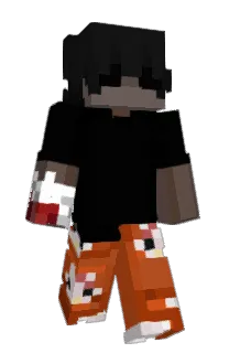 Front of wzlij's skin