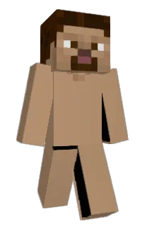 Bluepaw123's Minecraft skin