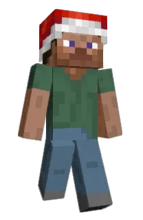 Front of merrymax's skin