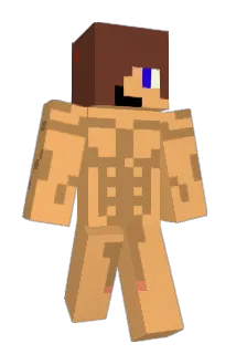 ccnt1234 Minecraft avatar full body