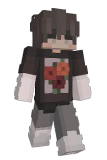 ccwk Minecraft avatar full body