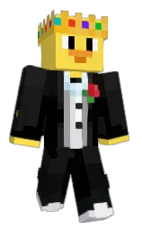 mustard and black Minecraft skin — Classic model