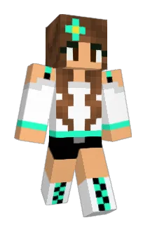 cd1023 Minecraft avatar full body