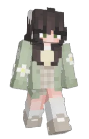 Skin preview