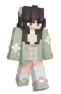 Front of Minecraft skin