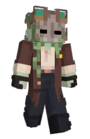 Skin preview