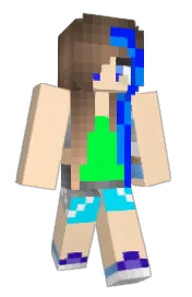 Skin preview