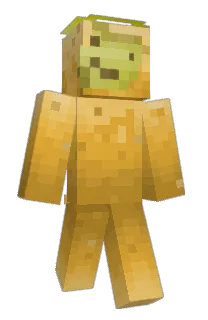 Front of Minecraft skin