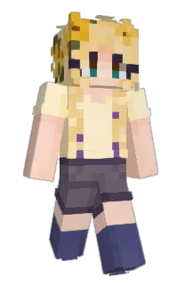 Front of sockkie's skin