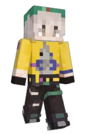 Skin preview