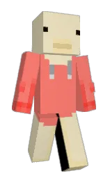 Hankwoo's Minecraft skin wearing the Migrator cape
