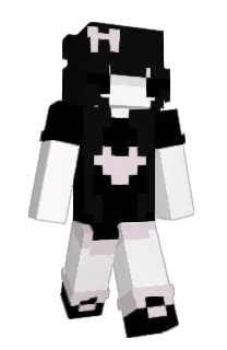Front of soapsins's skin