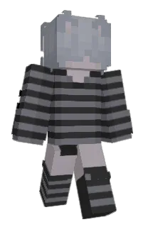 Front of BrokeGamingDude's skin