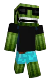 Skin preview