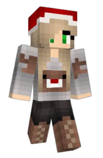 Front of N4FT's skin