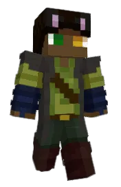 Skin preview