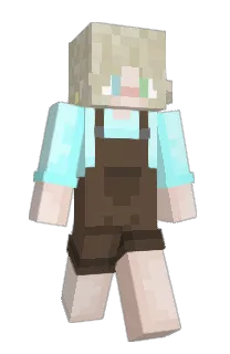 Front of BiTurtle's skin