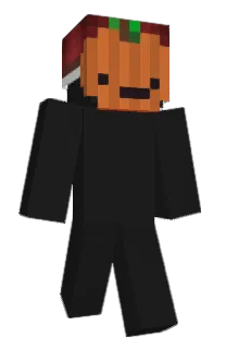 Front of NotBridgey's skin