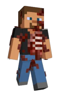 Front of Bepize's skin