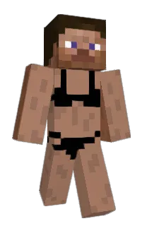 Front of sl1ke's skin