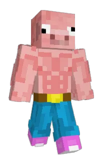 porsuu's Minecraft skin