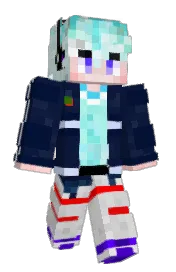 Skin preview