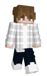 Slim Minecraft skin