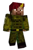 NotQuitePig