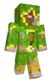 Skin preview