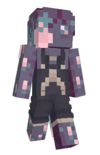 Front of Paccheta's skin