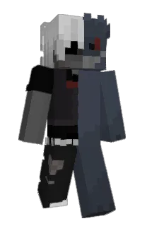 Front of Irritado's skin