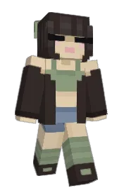 Skin preview