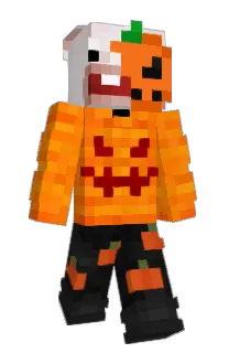 Front of iWayzZ's skin