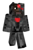 Zedtorr