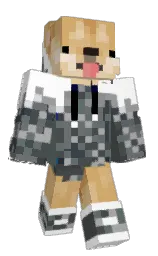 supertoon3's Minecraft skin wearing the Aurora cape