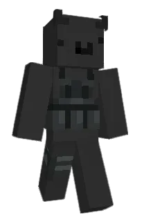 Front of Seal895's skin