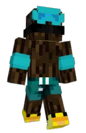 Skin preview