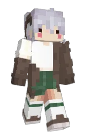 Skin preview
