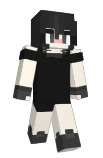 Front of SwissMissIC's skin