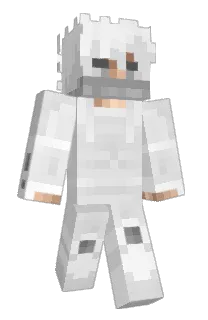 Front of VerEditor's skin