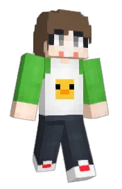 Skin preview