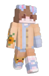Front of Tickeby's skin